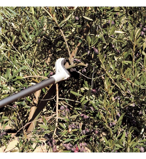 Stihl Vibrador ramos SP 482 - vara curta