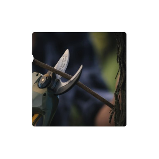 Alpen tesoura poda a bateria WILDHORN 32
