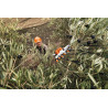 STIHL SPA 130 Varejador de varetas a bateria - sistema AP